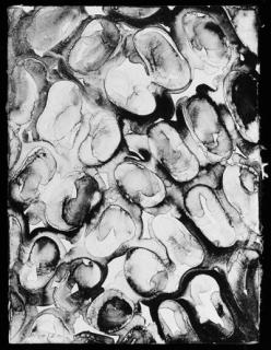 Julian Lethbridge - Untitled