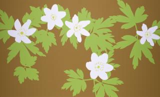 Julian Opie - The road climbed still higher and was now empty of cars. There were no houses or cabins, just endless pine forest. At the crest of a hill I stopped next to a large log pile...