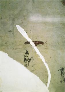 Julian Schnabel - Leda and the Swan