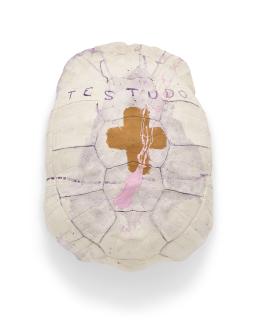 Julian Schnabel - Untitled (Testudo)