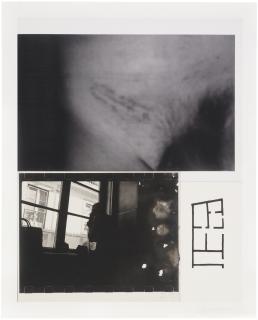 Julião Sarmento - Scar and Window