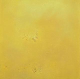 Julie Hedrick - Saffron Winds