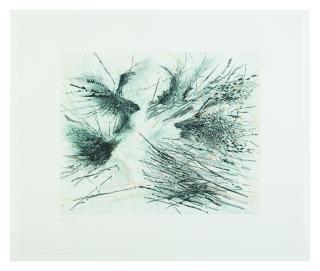 Julie Mehretu - Fracture