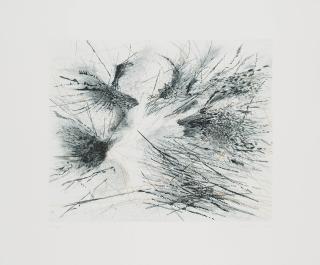 Julie Mehretu - Fracture