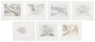 Julie Mehretu - Landscape Allegories