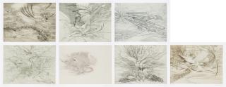 Julie Mehretu - Landscape Allegories