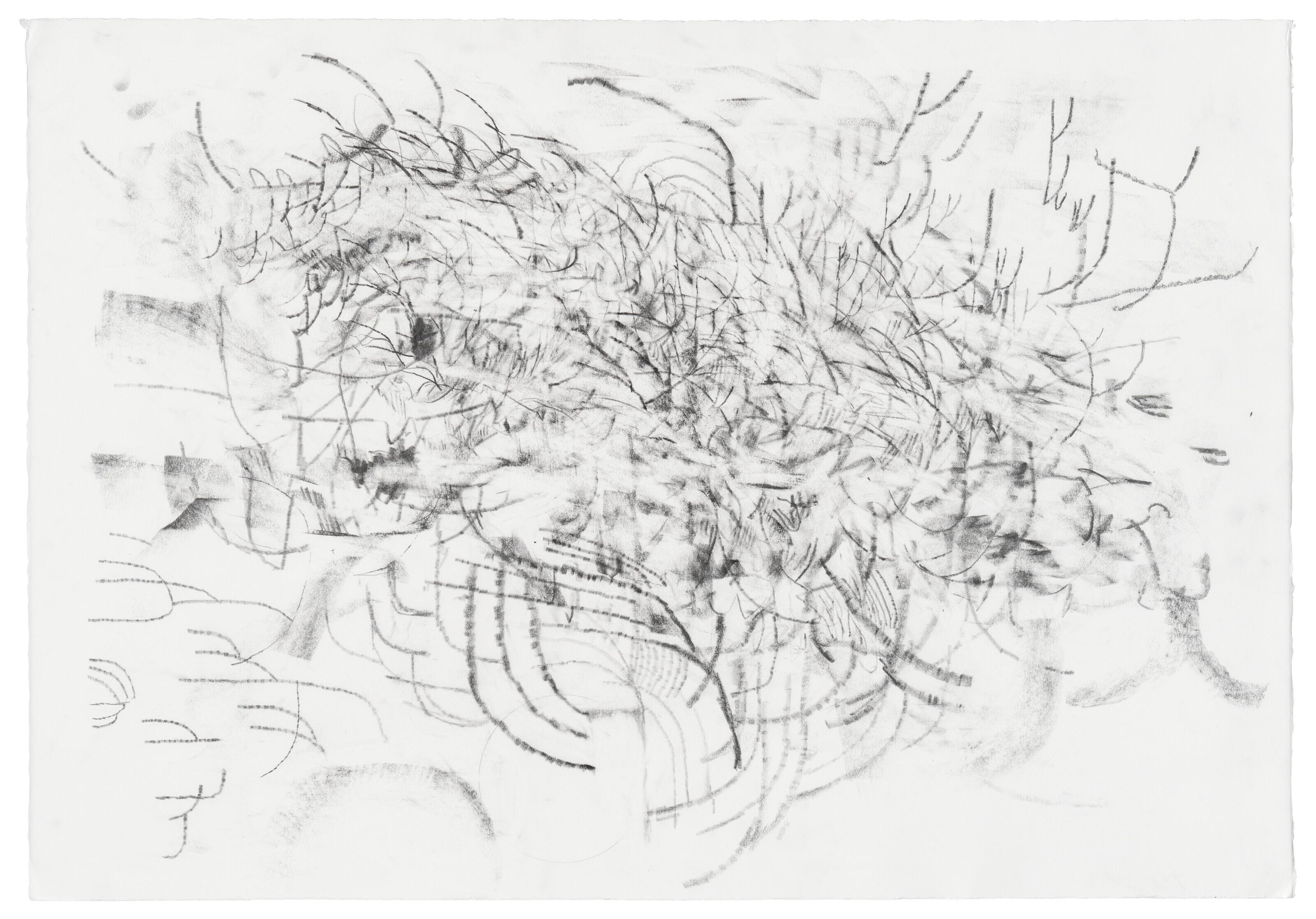 Julie Mehretu - Mind Breath Drawing (26)