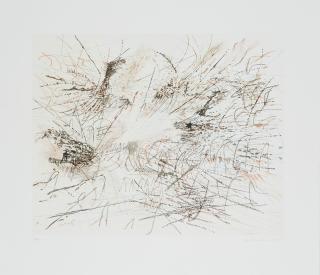 Julie Mehretu - Ohne Titel (Pulse).