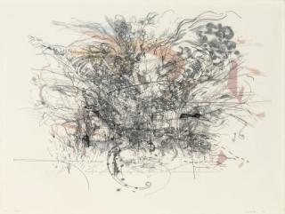 Julie Mehretu - Rogue Ascension