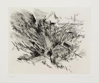 Julie Mehretu - Untitled 1 (Amulets), from Artists for Obama