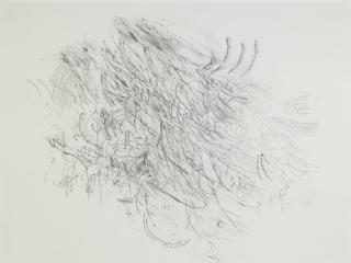 Julie Mehretu - Untitled