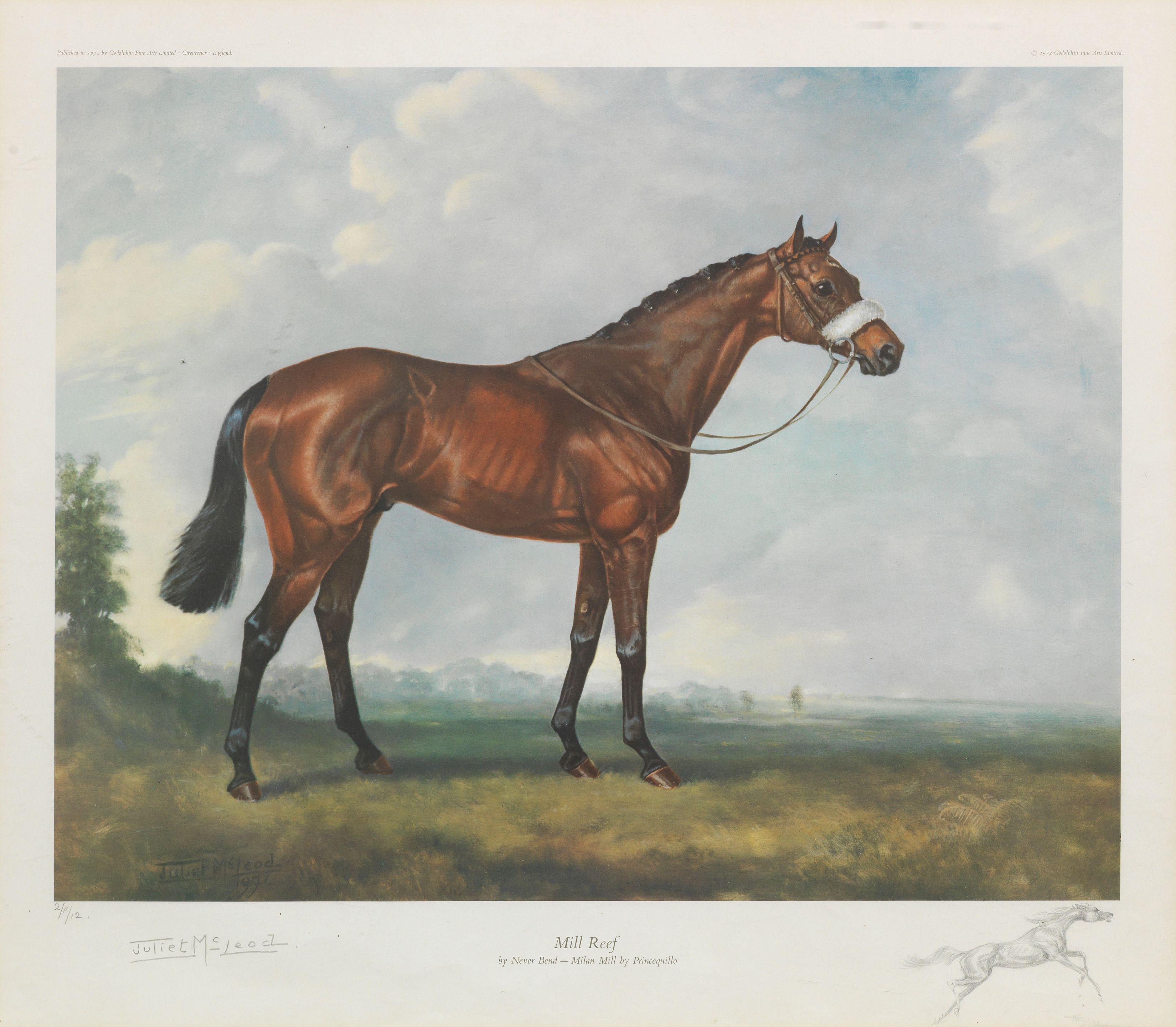 Juliet Mcleod - Racehorses \'Mill Reef\' & \'Brigadier Gerard\'