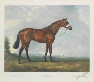 Juliet Mcleod - Racehorses \'Mill Reef\' & \'Brigadier Gerard\'