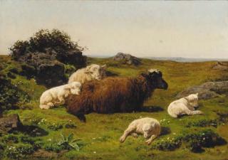 Juliette Peyrol-Bonheur - A sheep and lambs resting in a moorland landscape