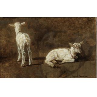 Juliette Peyrol-Bonheur - A Study Of Two Lambs