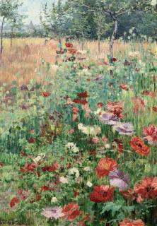 Juliette Wytsman - Coquelicots: the poppy field