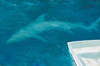 Julio Larraz - Galanos