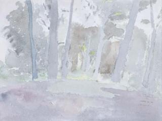 Julio Resende - Clairière dans une forêt