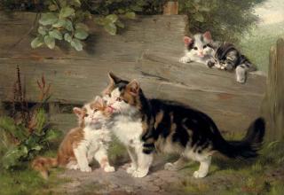 Julius Adam II - Motherly affection