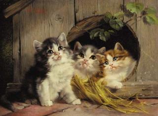 Julius Adam - Friendly shelter