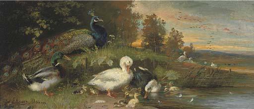 Julius Scheuerer - Ducks And A Peacock On The Banks of A River At Dusk