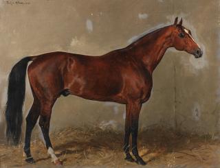 Julius von Blaas - Portrait of a chestnut horse in a stable