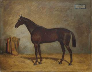 Julius Von Blaas - Un étalon noir à Kisber