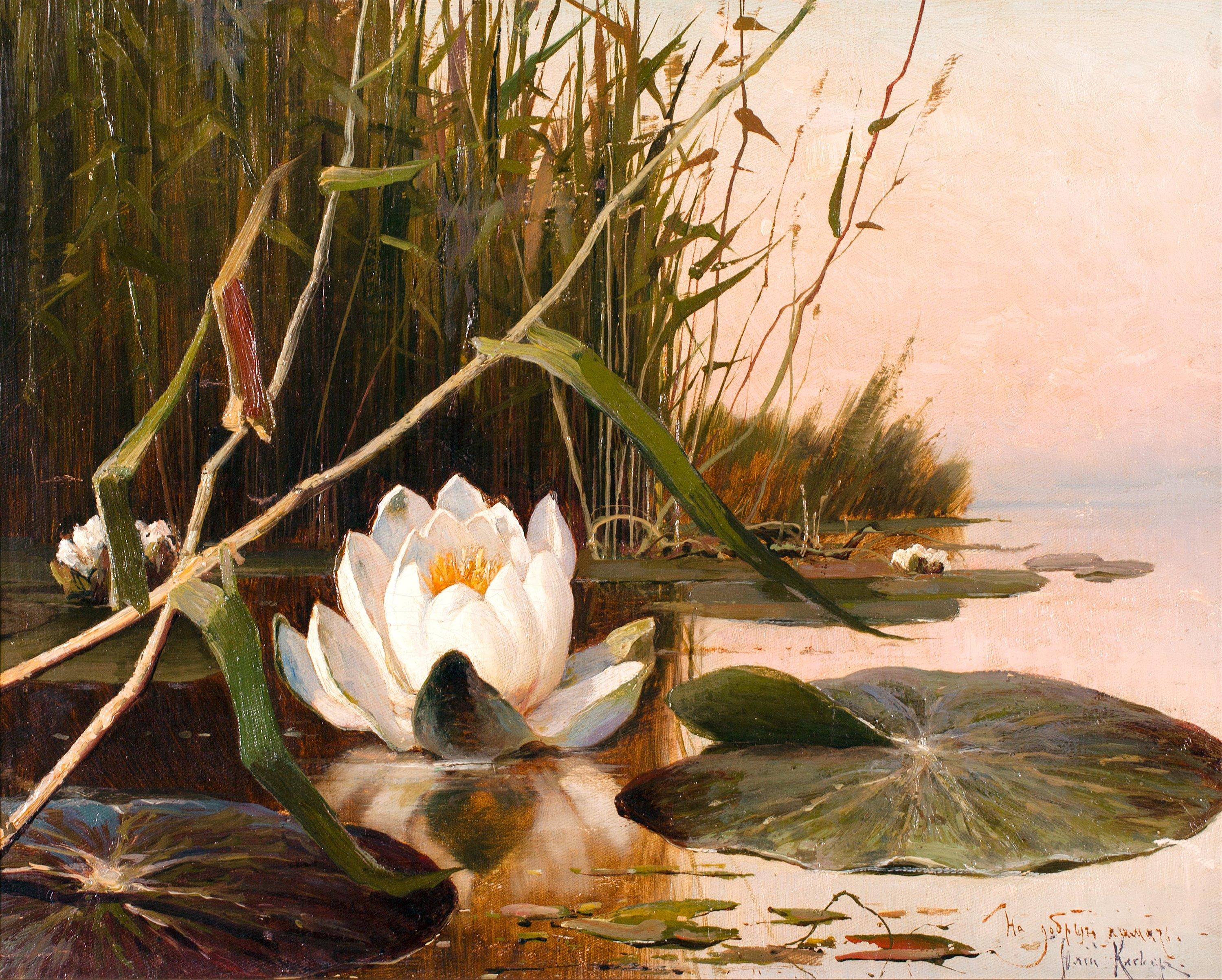 Julius von Klever - Water Lily.