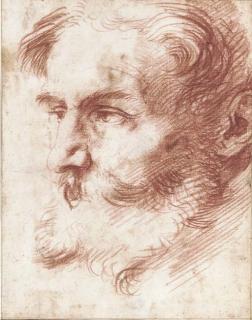 Jusepe de Ribera - Head of a bearded man, looking to the left