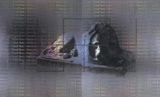 Justin Ponmany - Tired Lion