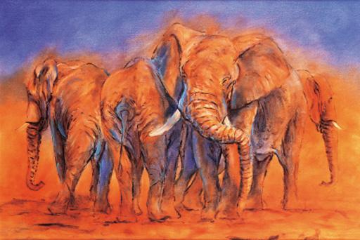 Justin Tew - Elephant