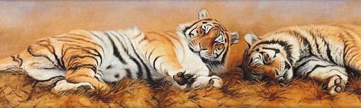 Justin Tew - Siberian Tigers