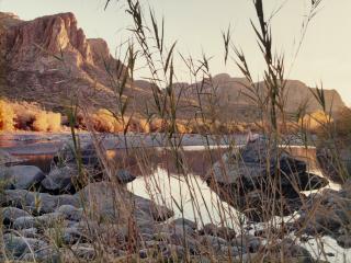 Justine Kurland - Narcissus, 1999