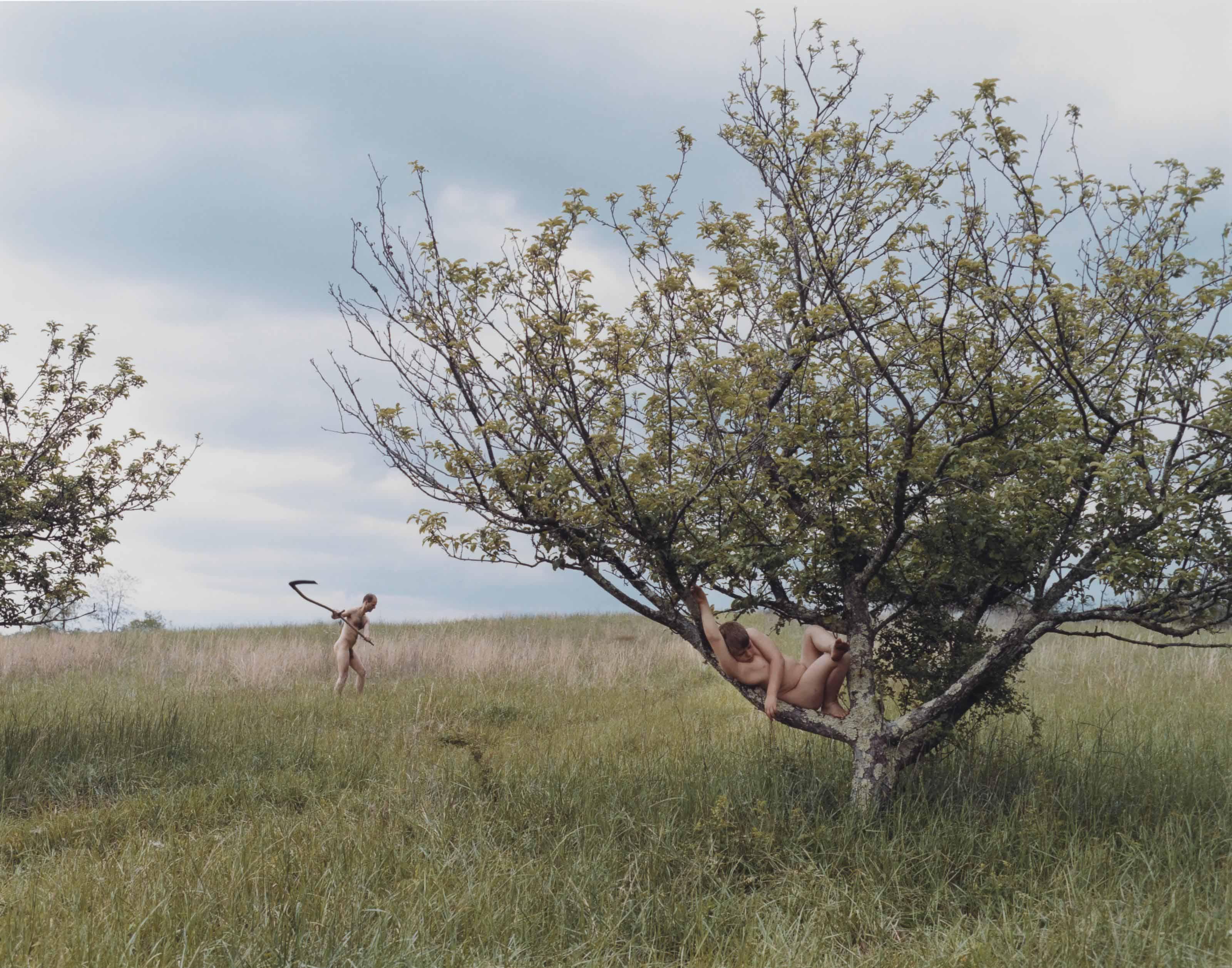 Justine Kurland - Peach Tree, 2002