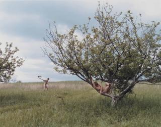 Justine Kurland - Peach Tree, 2002