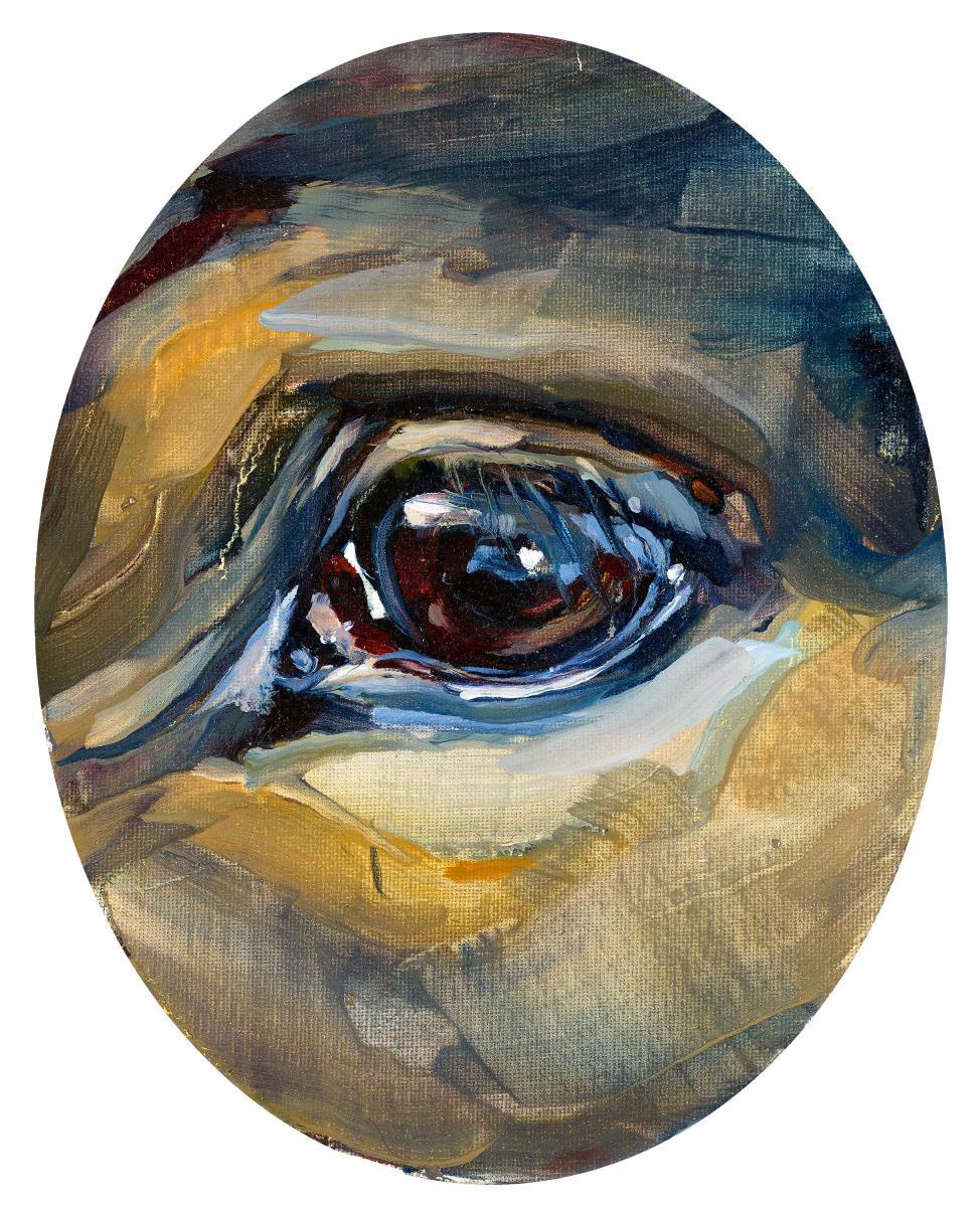 Justine Otto - Ohne Titel (Pferdeauge)