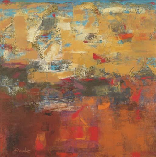 K.M. Adimoolam - Terra Incongnita