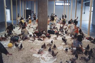 Kader Attia - Flying rats