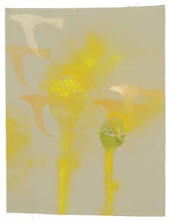 Kai Althoff - Untitled