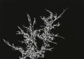 Kanno Sakan - Lb5002080