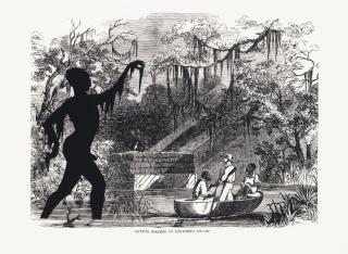 Kara Walker - Cotton Hoards in Southern Swamp, from Harper\'s Pictorial History of the Civil War (Annotated)