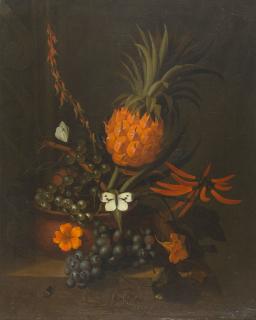 Karel Borchaert Voet - Früchtestillleben mit Ananas, Weintrauben, Aloe vera und