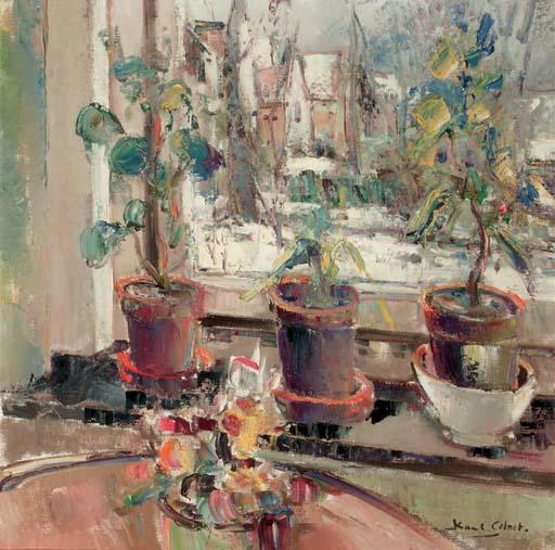 Karel Colnot - Plants in window sill
