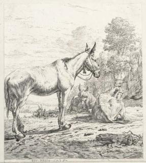Karel Dujardin - Moutons, mules et chevaux de trait