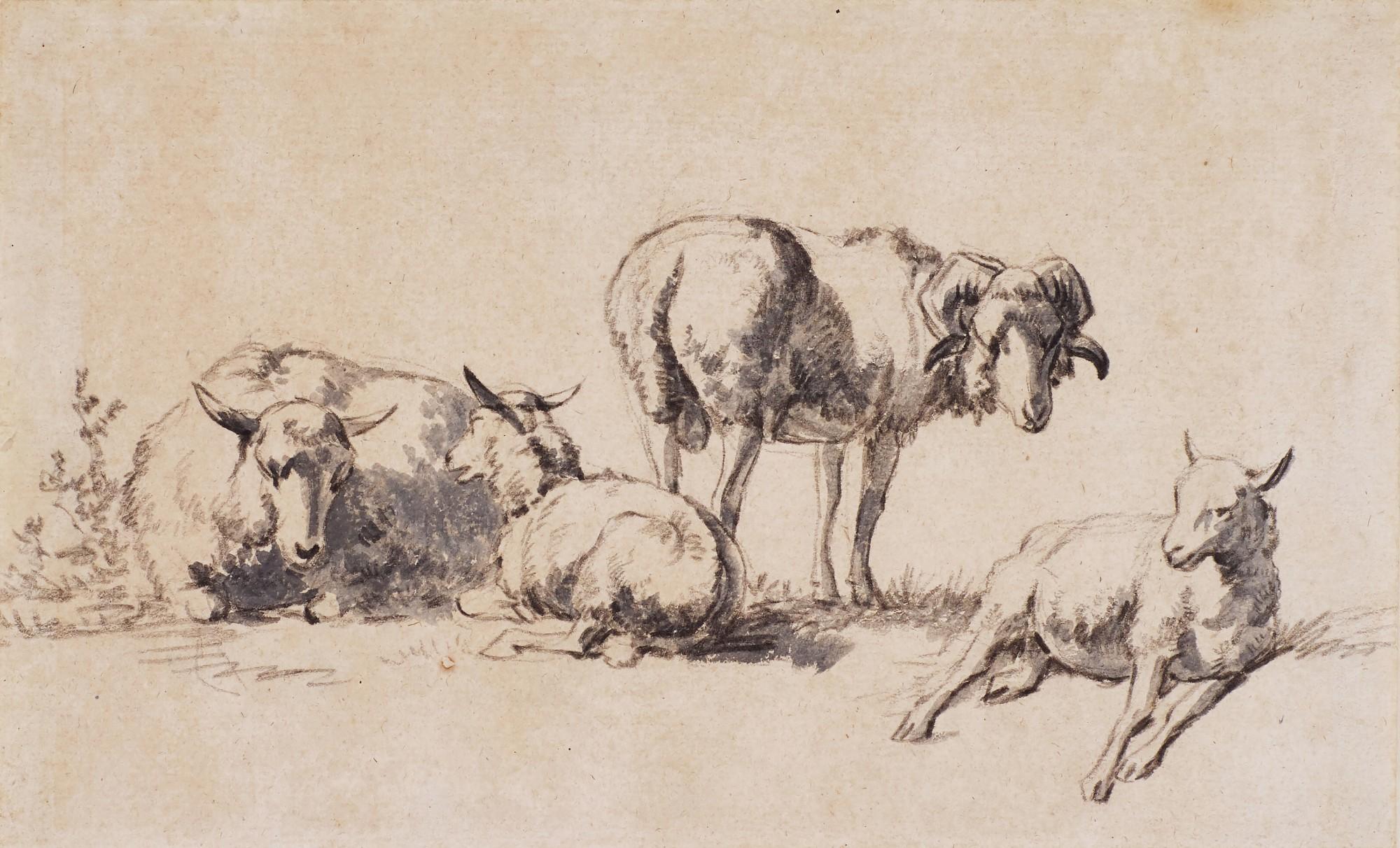 Karel Dujardin - Studies Of Sheep