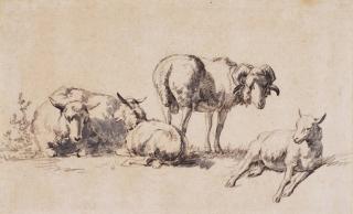 Karel Dujardin - Studies Of Sheep