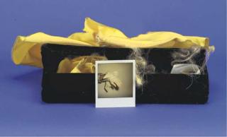 Karen Kilimnik - Jewelry Box