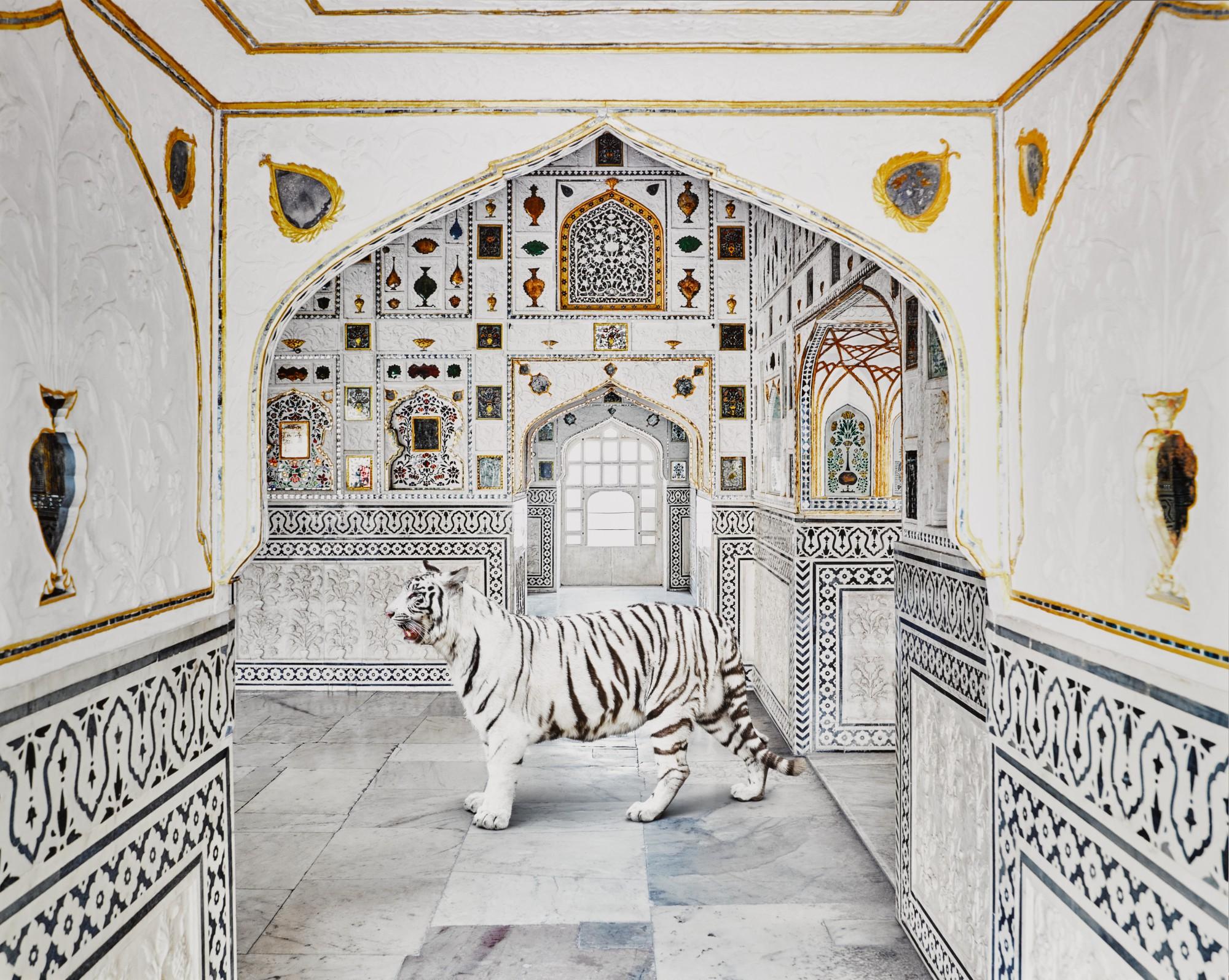 Karen Knorr - \'Tiger Breath, Sheesh Mahal, Amer Fort\' (from the series India Song), 2020