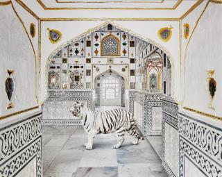 Karen Knorr - \'Tiger Breath, Sheesh Mahal, Amer Fort\' (from the series India Song), 2020