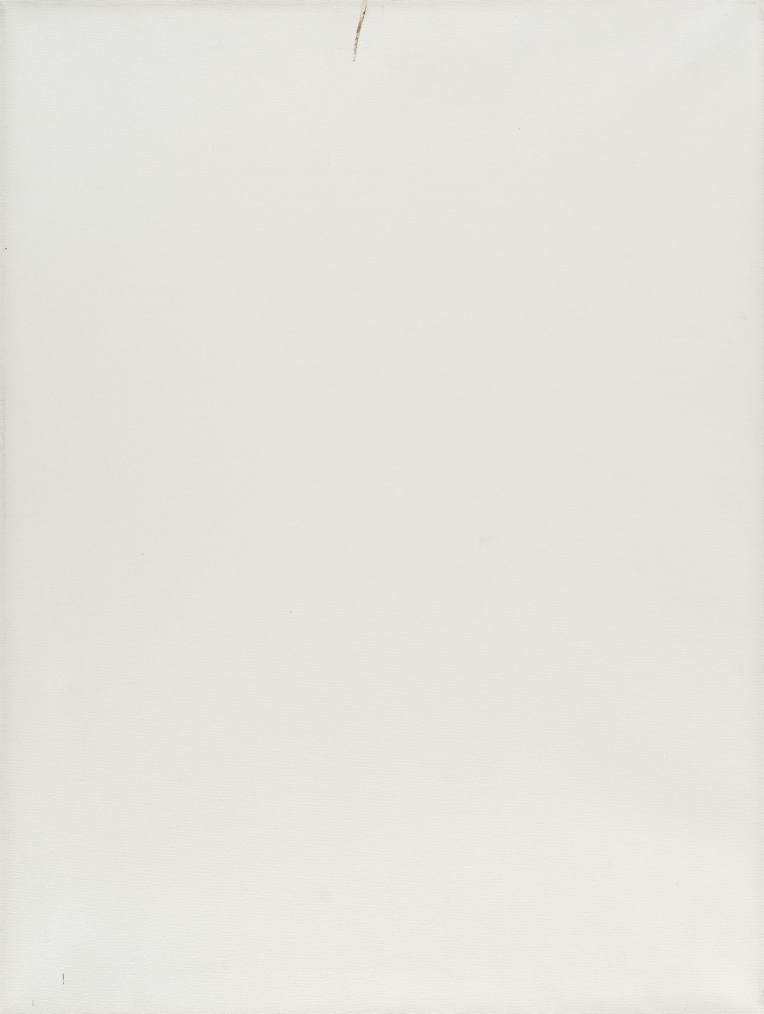 Karin Sander - „Patina-Bild Nr. 35“